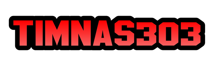 TIMNAS303